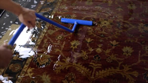 Nashville Rug Cleaning will thoroughly rinse your rug during rug cleaning - area rug cleaning, oriental rug cleaning and all custom rugs.